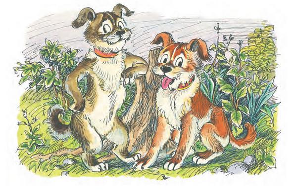 ������ ��� ������ ������